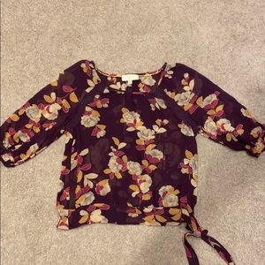 Sheer cropped Anthropologie shirt